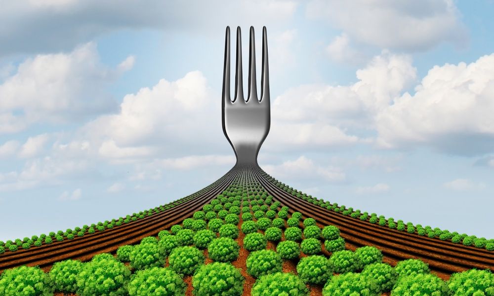 Il Tecnologo Alimentare nelle strategie "FARM TO FORK" e "BIODIVERSITY"